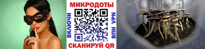 Галлюциногенные грибы MAGIC MUSHROOMS  купить наркоту  Похвистнево 